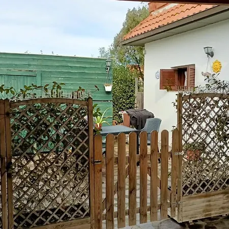 Apartmán 8380 Il Glicine