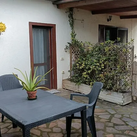 8380 Il Glicine Albinia